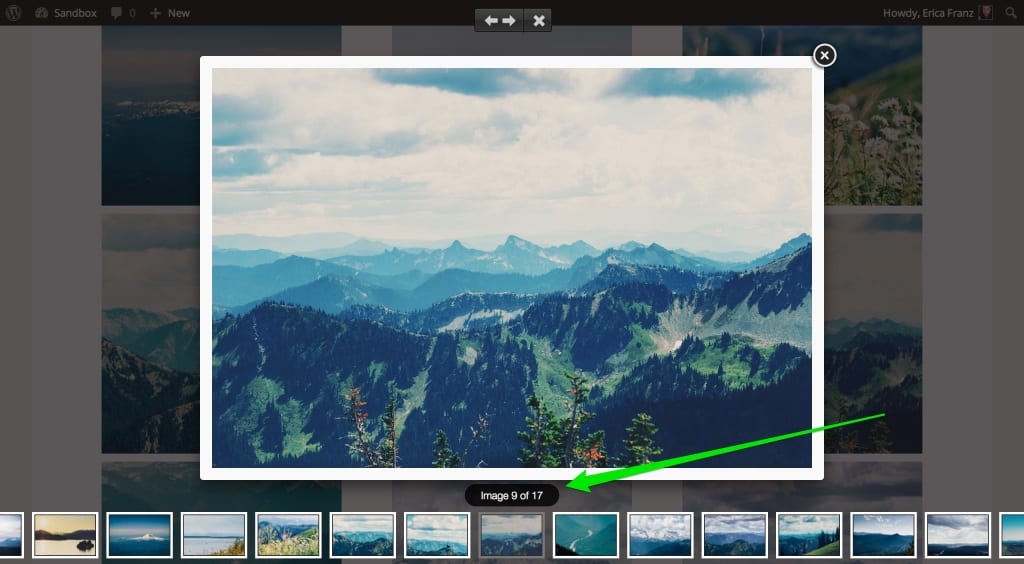 Envira Gallery Lightbox Image Counter Envira Gallery