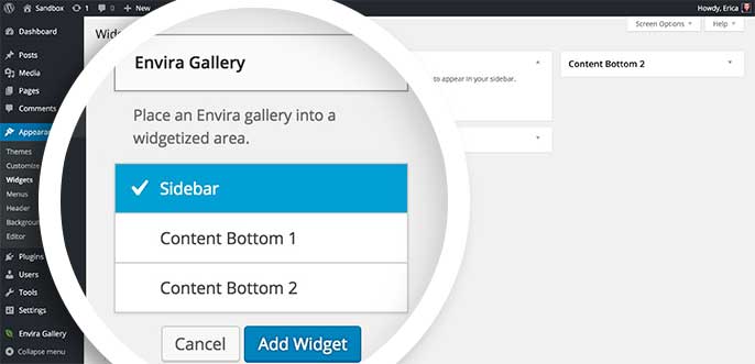 Select the Envira Gallery widget to choose which widgetized section of your site to add it to.