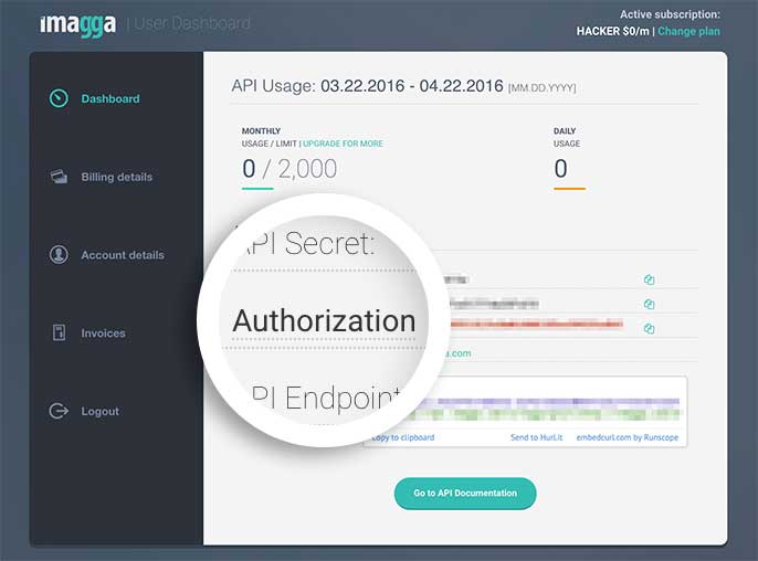 Imagga dashboard authorization code.