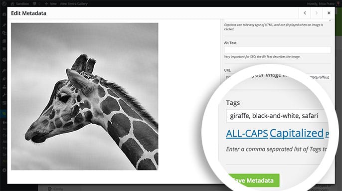 Add tags to individual images in your gallery through the Edit Metadata window.