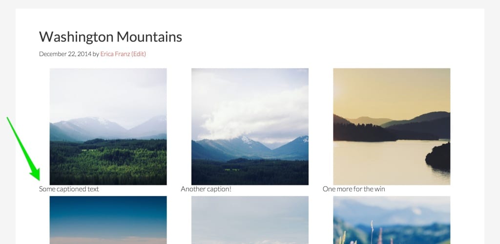 envira-gallery-how-to-add-captions-below-thumbnails-envira-gallery