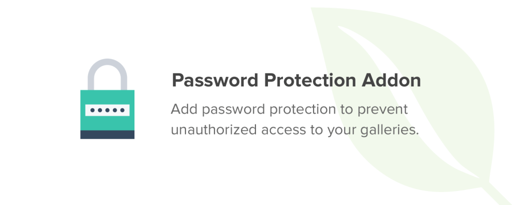 Password Protection Addon