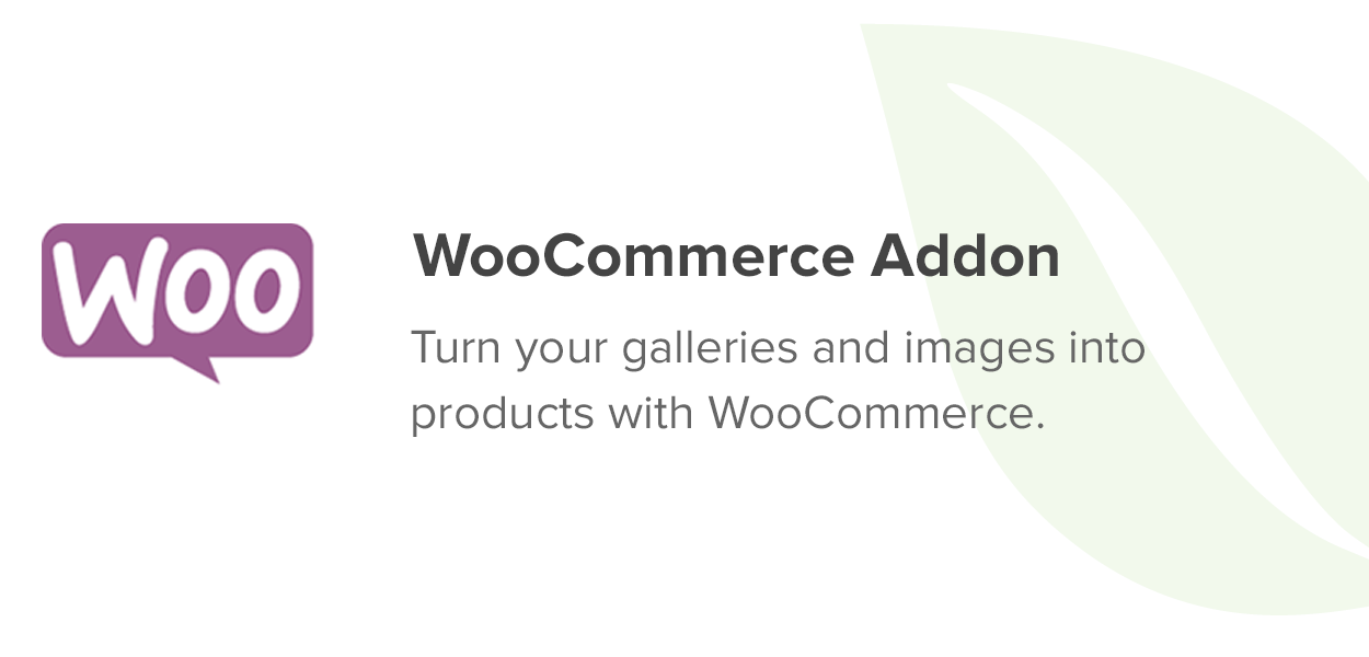 WooCommerce Addon