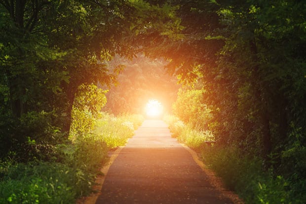 Sunlight down a forest path