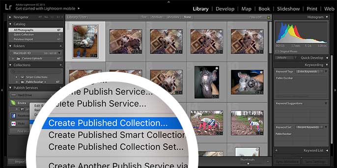 Right click on the Envira service and choose Create Published Collection to begin.