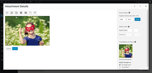 Cropping an Image In WordPress