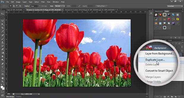 How To Blur Background in Photoshop | Envira Gallery