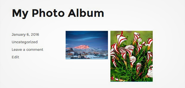 Photo Album In WordPress