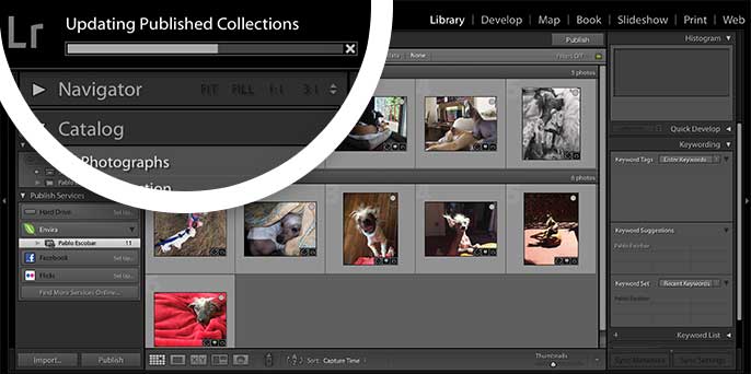 A progress bar will appear in Lightroom when you Publish a Collection to show the progress of the changes.