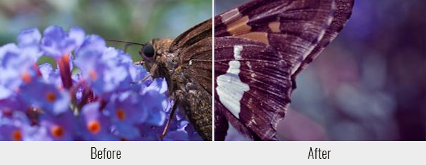 Purple Haze Is A Free Lightroom Preet That Adds Simple Light And Dark Split Tone With Slight Vignette To Your Photos You Must Play Around The