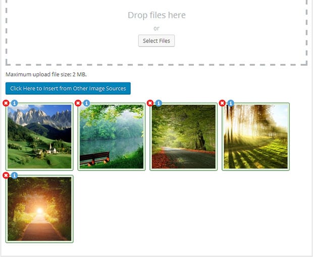 Drag and Drop Images - Envira Gallery