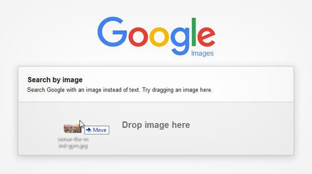 Google Image Search