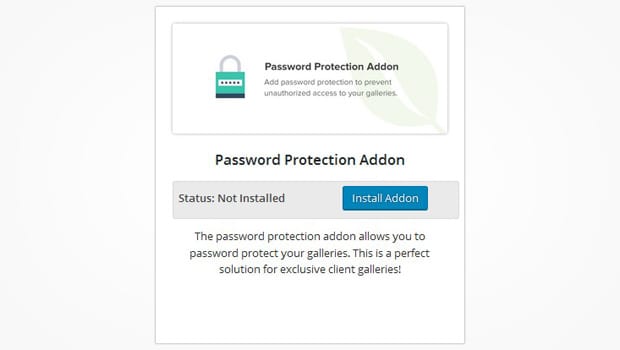 Password Protection Addon