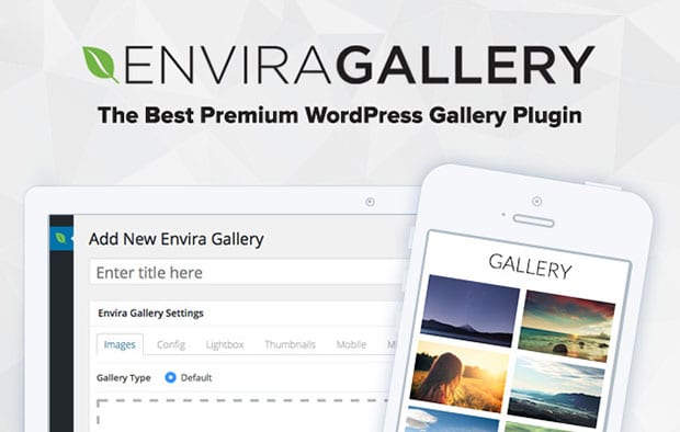  Envira Gallery Website