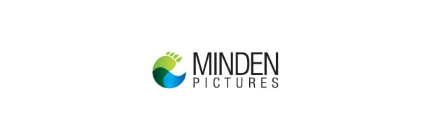 Minden Pictures