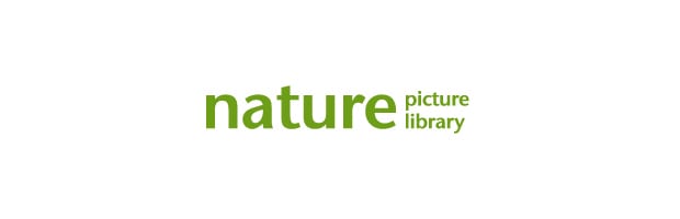 Nature Picture Library