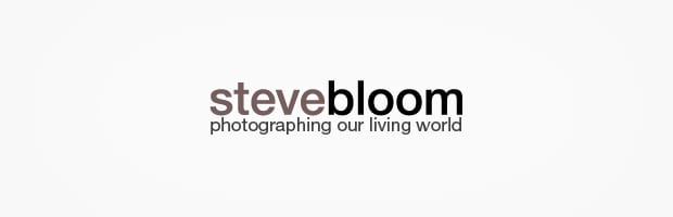 Steve Bloom