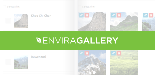 Envira Gallery UX Overhaul