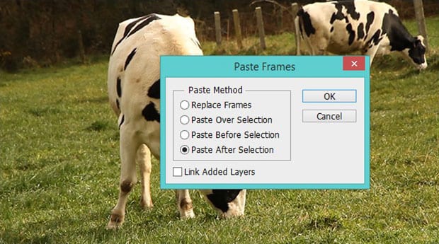 Paste After Selection