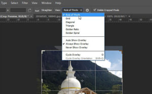 how to perfectly crop a picture in photoshop