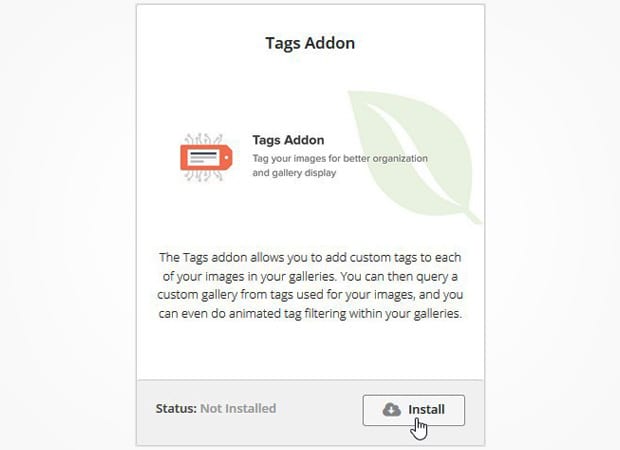 Tags Addon