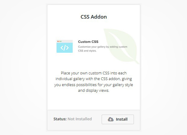Custom CSS Addon