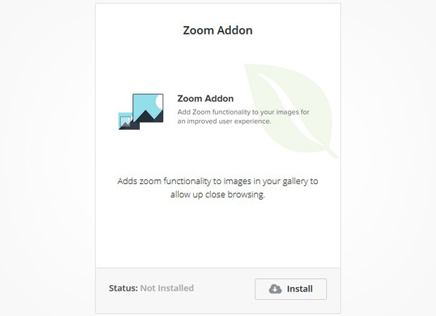 Zoom Addon