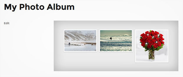 Showcase Your Photo Albums