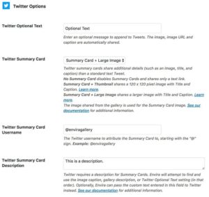 Social Addon Twitter Options