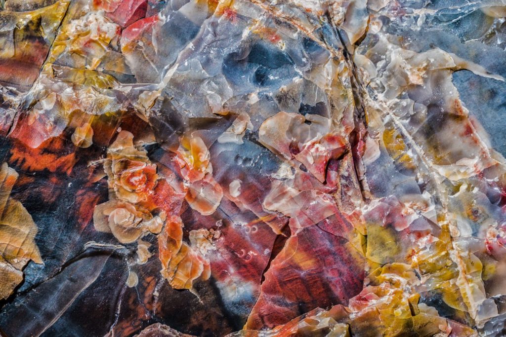 Petrified Forest National Park