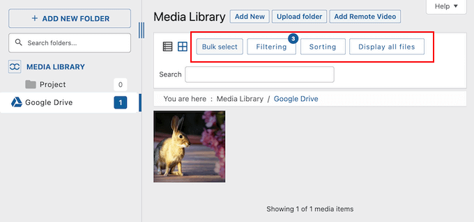 Filtering Google Drive images in the WordPress Media Library with WP Media Folder