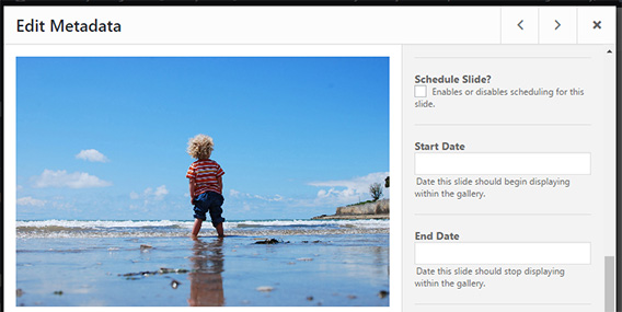 schedule individual image in wordpress gallery