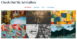 Envira tags - WordPress gallery with category filter