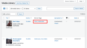 WordPress media library tags - Envira tags
