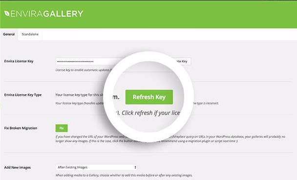 Select the Refresh Key button in the Envira Gallery Settings screen after upgrading your license.