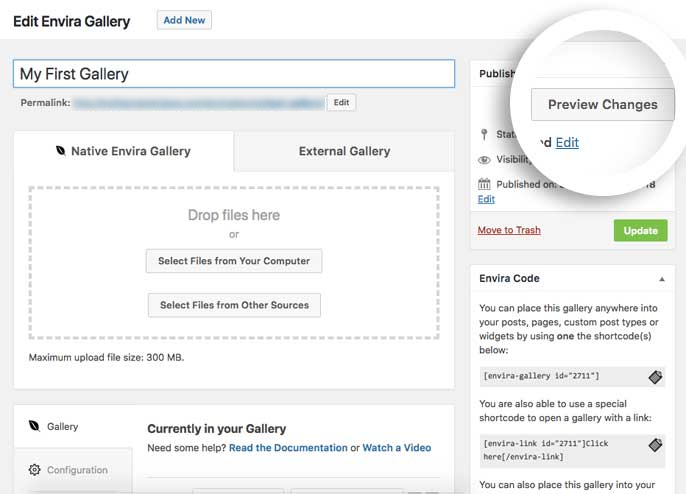 Click the Preview Changes button to preview your Envira gallery