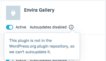 WordPress.com Business Account disables the Autoupdate feature automatically