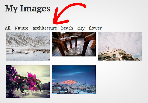 Image Gallery with Category Filter