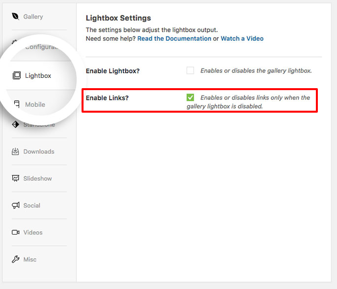 Enable the external links for your gallery on the lightbox tab