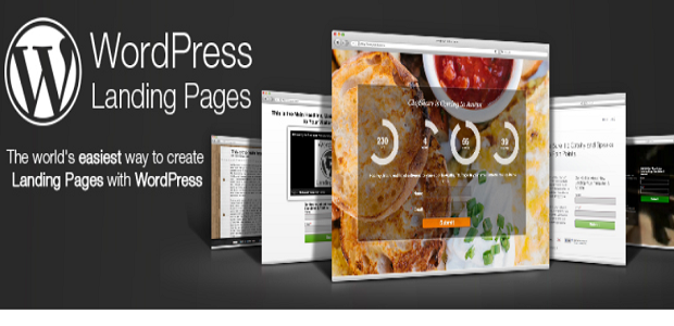 WordPress Landing Pages Banner