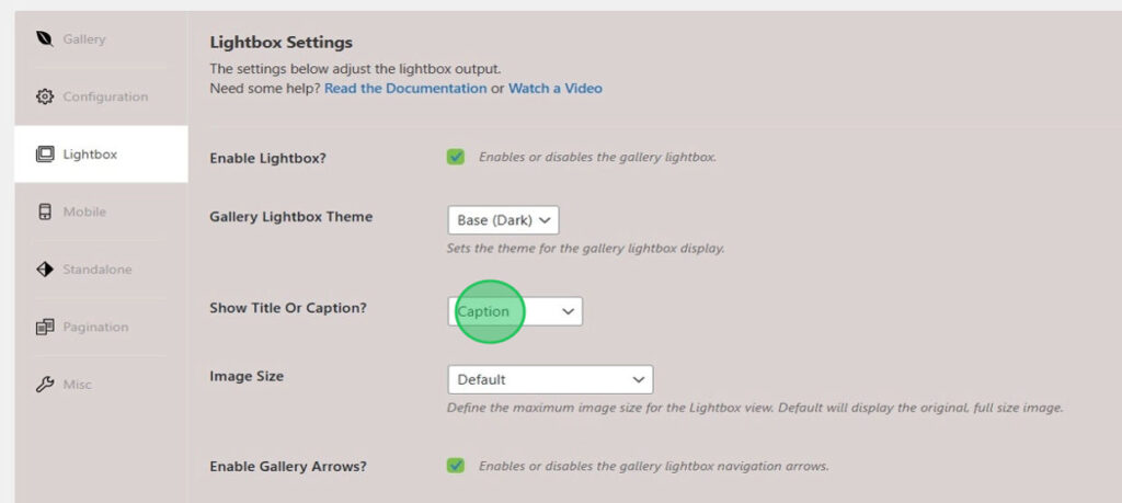 How to Add a Link into the Lightbox - Envira Gallery