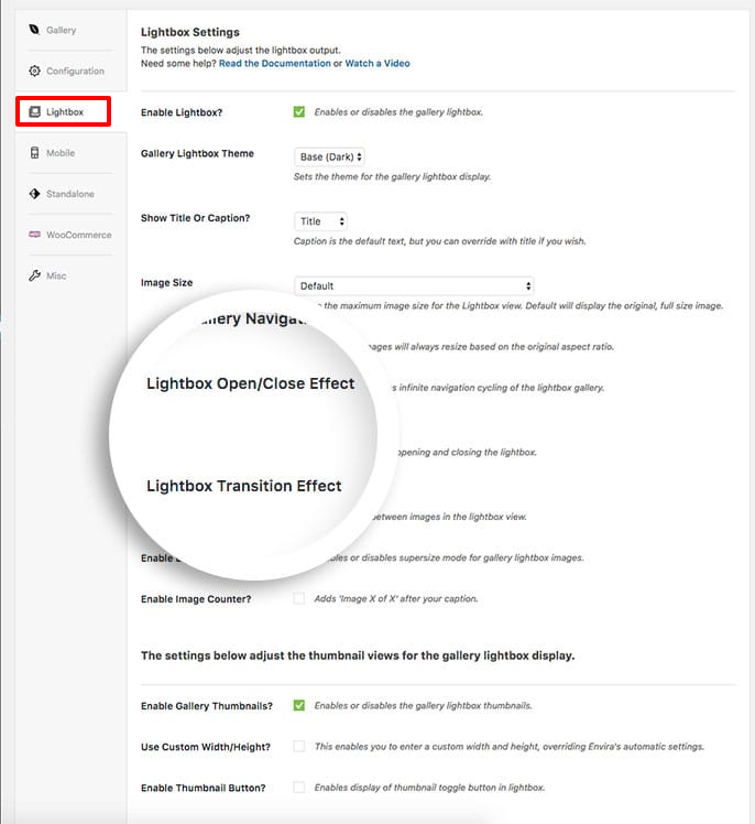 Choose the lightbox effects for your Envira Gallery
