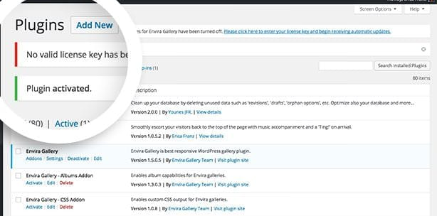 A success message will appear in the Plugins screen once you've activated Envira Gallery.