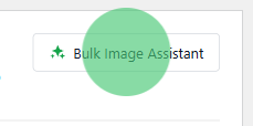 Bulk Image Assistant button in the toolbar (label with star icon)