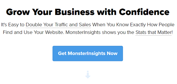 The MonsterInsights homepage banner