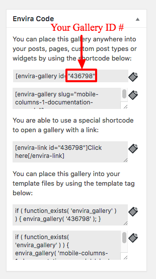 Finding your Envira Gallery ID number inside the Envira Code Sidebar