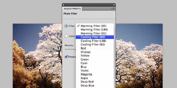 A photo filter selection box within Photoshop