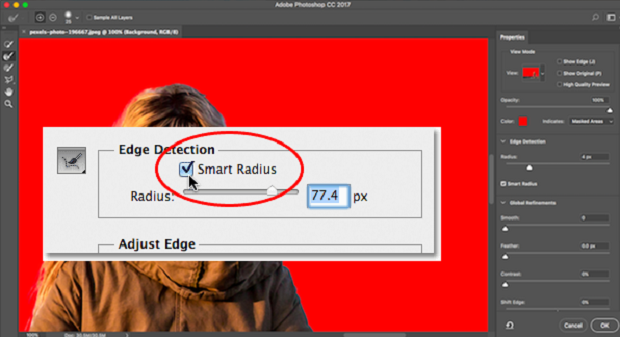 The Smart Radius box being checked withing the Edge Detection settings in Photoshop