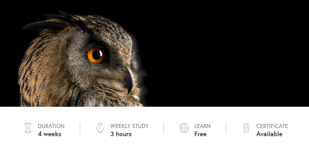 A close-up of an owl with a black background, with course info listed below