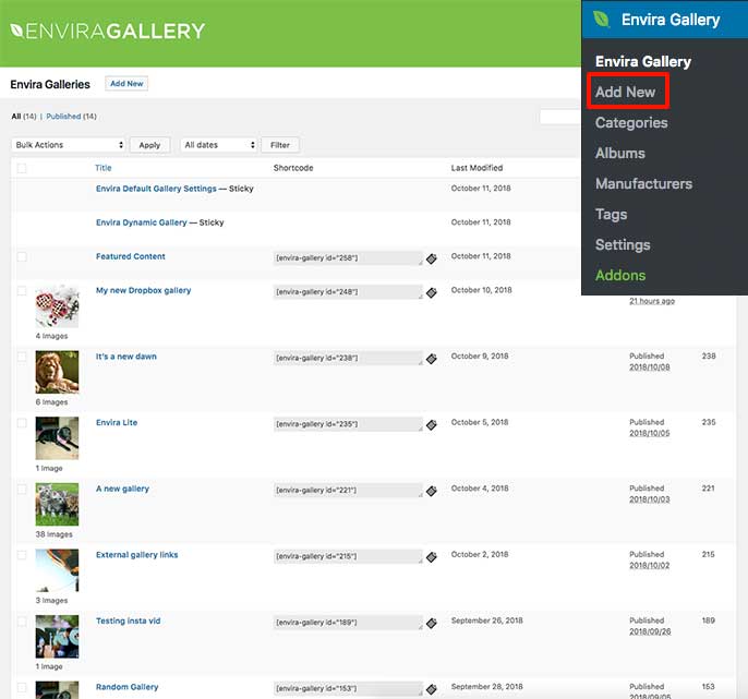 Click Add New to create a new Envira Gallery